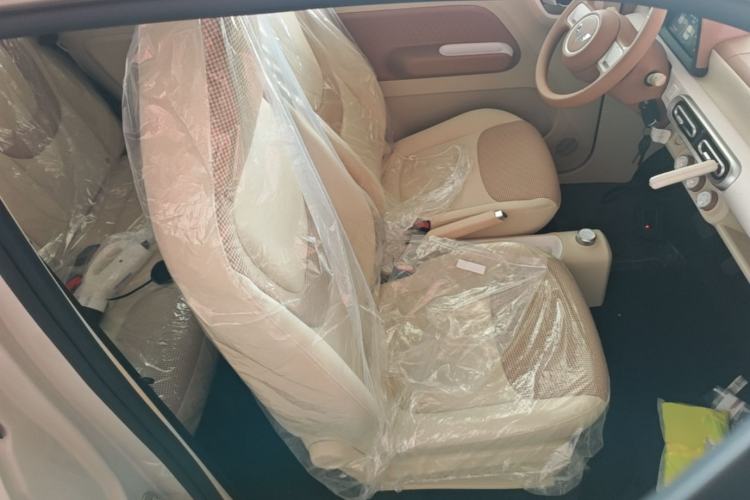 Used Wuling Hongguang MINIEV 2024 3rd Generation 215km Youth Edition Right Front Seat