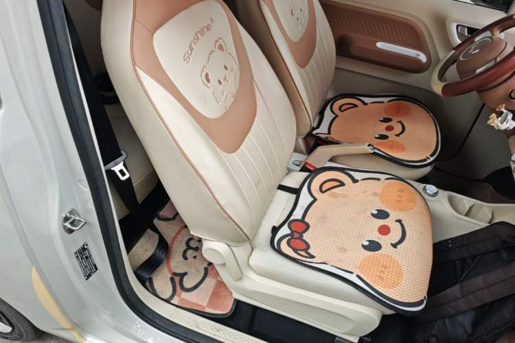 Used Wuling Hongguang MINIEV 2024 3rd Generation 215km Youth Edition Right Front Seat