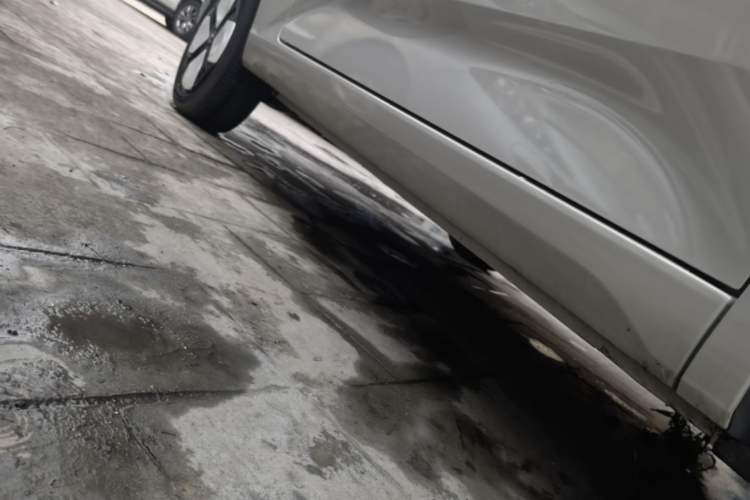 Used Wuling Hongguang MINIEV 2024 3rd Generation 215km Advanced Version Right Side Sill