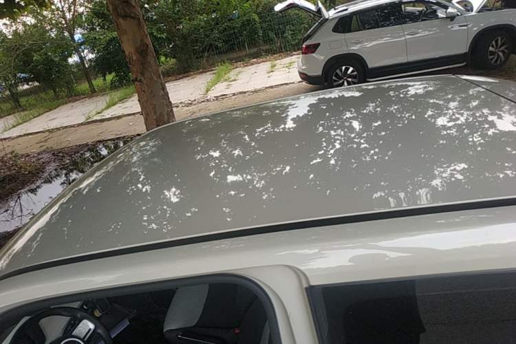 Used Wuling Hongguang MINIEV 2024 3rd Generation 215km Youth Edition Roof