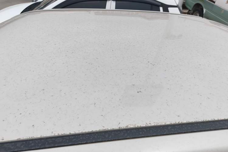 Used Wuling Hongguang MINIEV 2024 3rd Generation 215km Youth Edition Roof