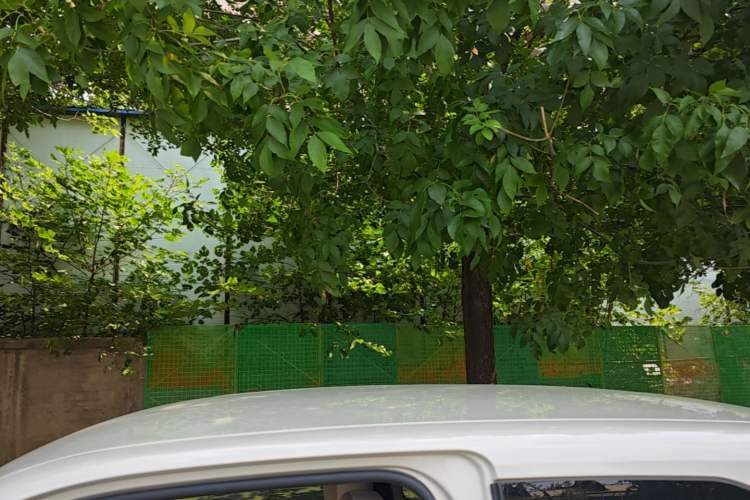 Used Wuling Hongguang MINIEV 2024 3rd Generation 215km Youth Edition Roof