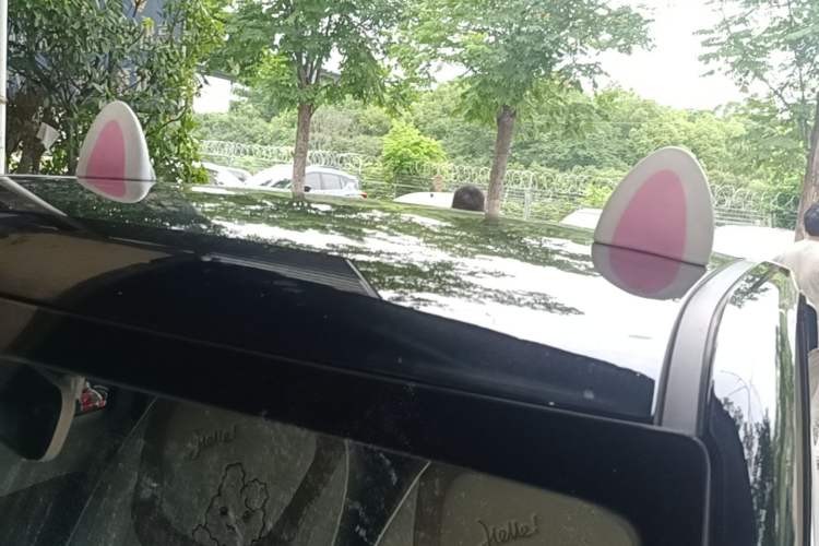 Used Wuling Hongguang MINIEV 2024 3rd Generation 215km Youth Edition Roof