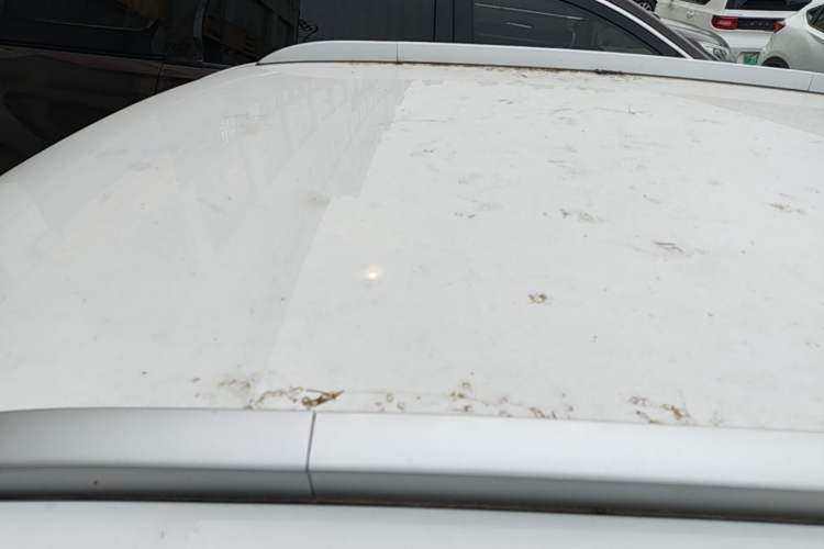 Used Wuling Hongguang MINIEV 2024 3rd Generation 215km Advanced Version Roof
