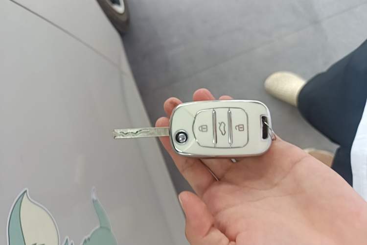 Used Wuling Hongguang MINIEV 2024 3rd Generation 215km Youth Edition Vehicle Key