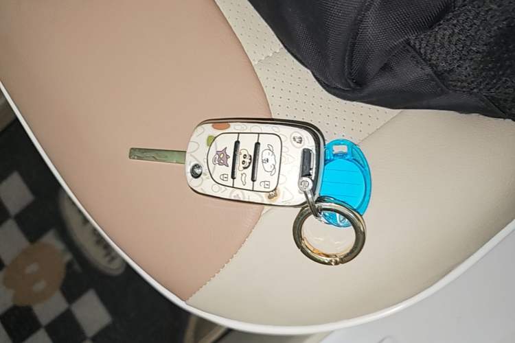 Used Wuling Hongguang MINIEV 2024 3rd Generation 215km Youth Edition Vehicle Key