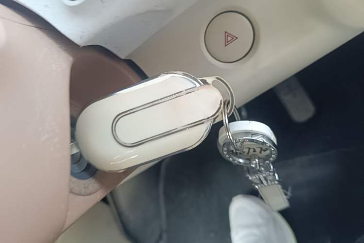 Used Wuling Hongguang MINIEV 2024 3rd Generation 215km Advanced Version Vehicle Key