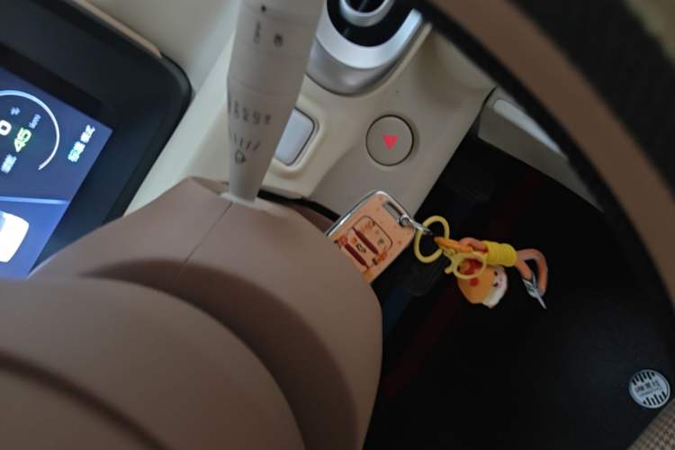 Used Wuling Hongguang MINIEV 2024 3rd Generation 215km Youth Edition Vehicle Key