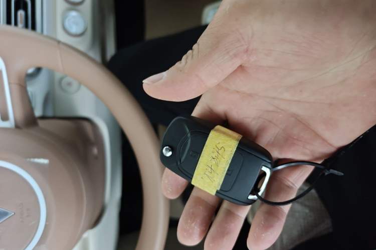 Used Wuling Hongguang MINIEV 2024 3rd Generation 215km Youth Edition Vehicle Key