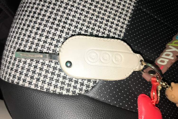 Used Wuling Hongguang MINIEV 2024 3rd Generation 215km Advanced Version Vehicle Key