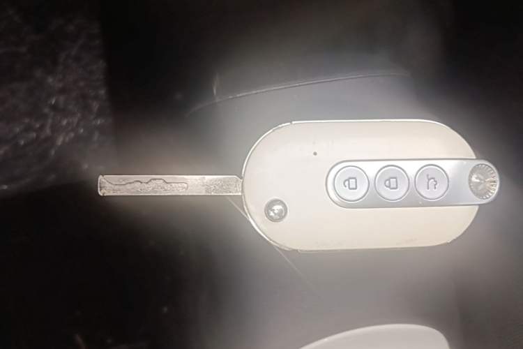 Used Wuling Hongguang MINIEV 2024 3rd Generation 120 km Vehicle Key