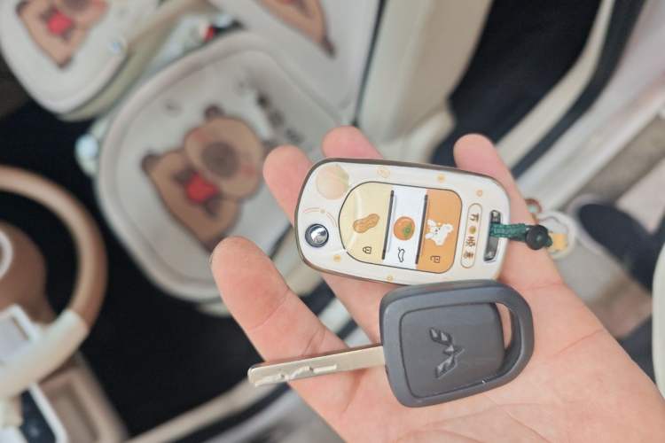 Used Wuling Hongguang MINIEV 2024 3rd Generation 215km Youth Edition Vehicle Key