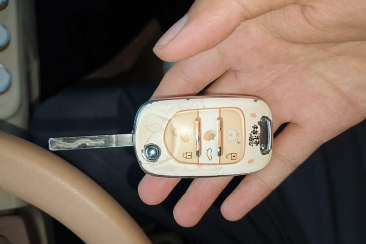 Used Wuling Hongguang MINIEV 2024 3rd Generation 215km Youth Edition Vehicle Key