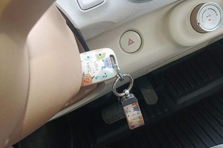 Used Wuling Hongguang MINIEV 2024 3rd Generation 215km Youth Edition Vehicle Key