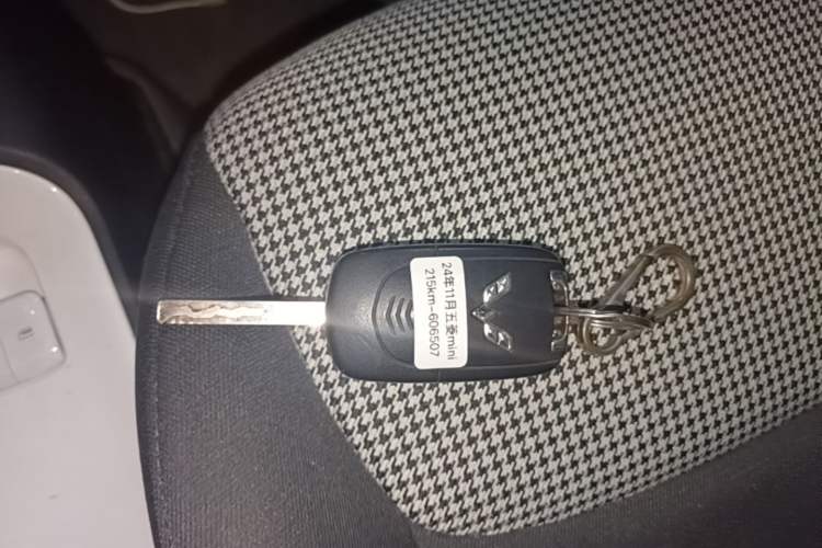 Used Wuling Hongguang MINIEV 2024 3rd Generation 215km Youth Edition Vehicle Key