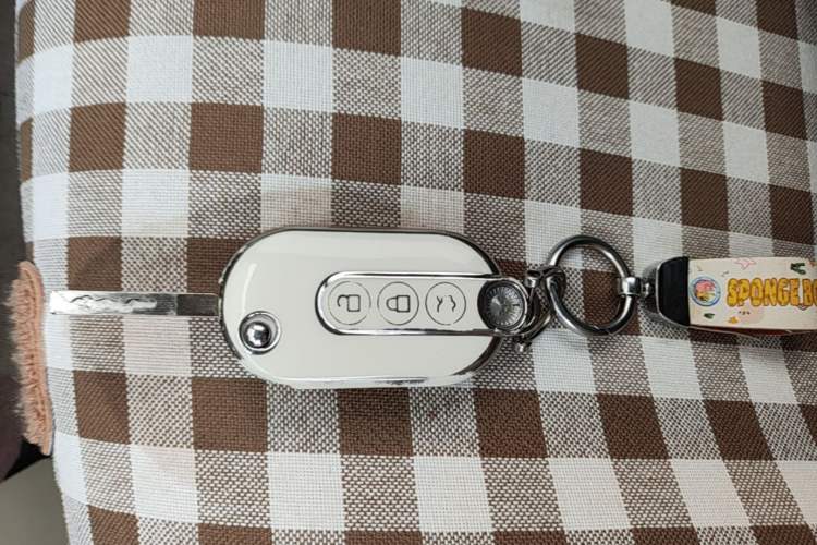 Used Wuling Hongguang MINIEV 2024 3rd Generation 215km Advanced Version Vehicle Key