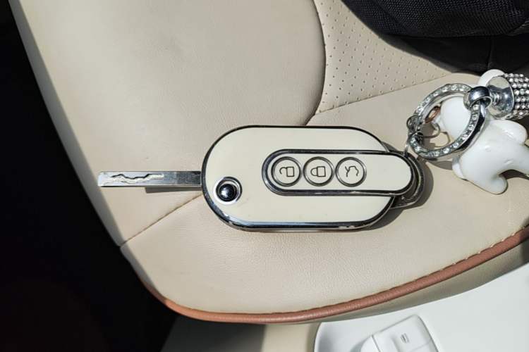 Used Wuling Hongguang MINIEV 2024 3rd Generation 215km Advanced Version Vehicle Key