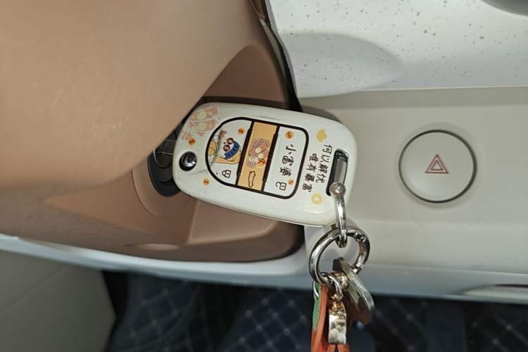 Used Wuling Hongguang MINIEV 2024 3rd Generation 215km Youth Edition Vehicle Key
