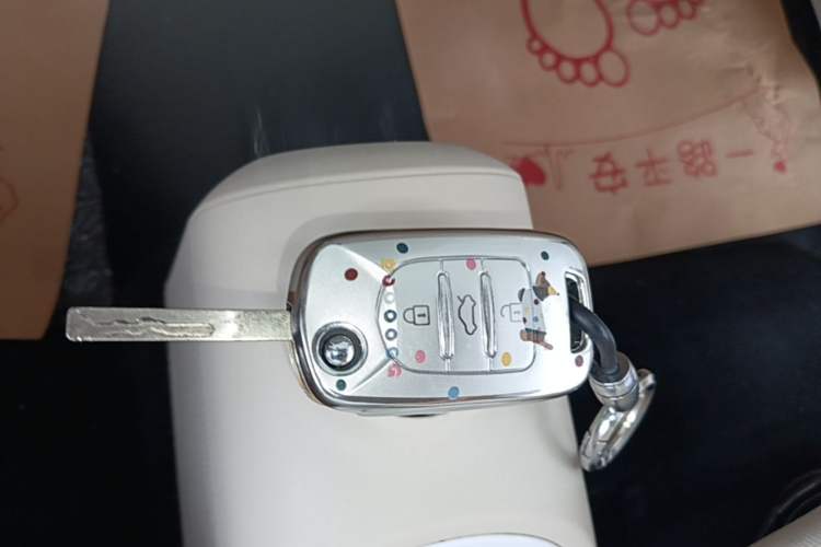 Used Wuling Hongguang MINIEV 2024 3rd Generation 215km Youth Edition Vehicle Key