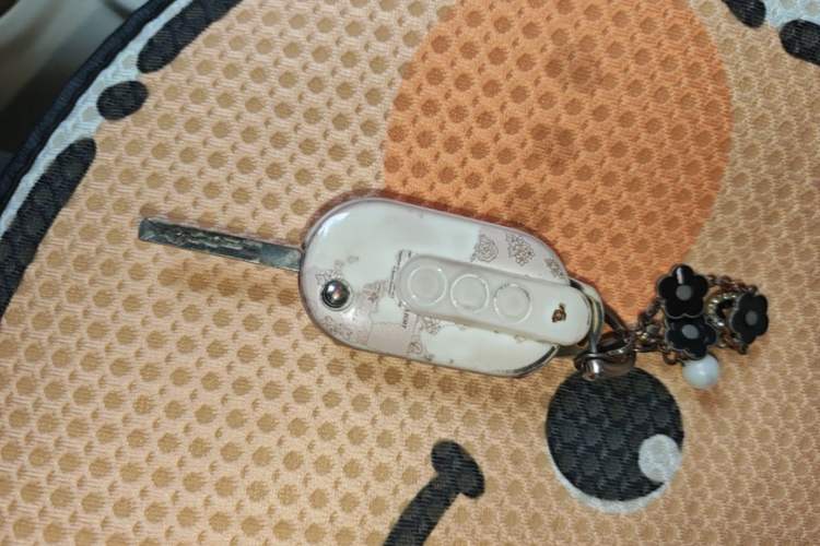 Used Wuling Hongguang MINIEV 2024 3rd Generation 215km Youth Edition Vehicle Key