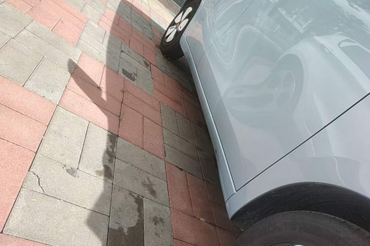 Used Wuling Hongguang MINIEV 2025 Four-Door Version Zhenxiang+ Edition Right Side Sill