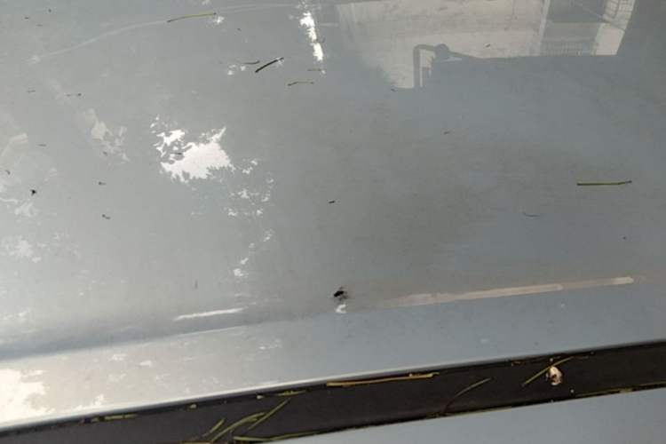 Used Wuling Hongguang MINIEV 2025 Four-Door Version Advanced Edition Roof