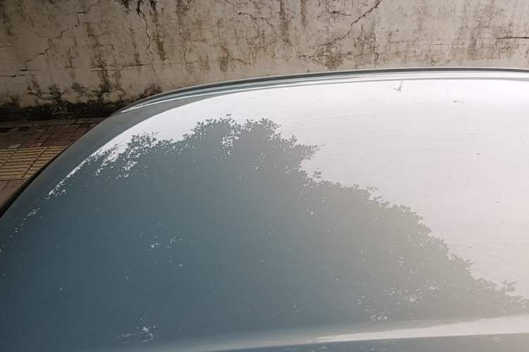 Used Wuling Hongguang MINIEV 2025 Four-Door Version Advanced Edition Roof