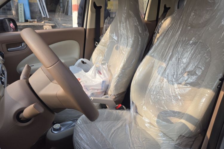 Used Wuling Hongguang MINIEV 2025 Four-Door Version Advanced Edition Left Front Seat