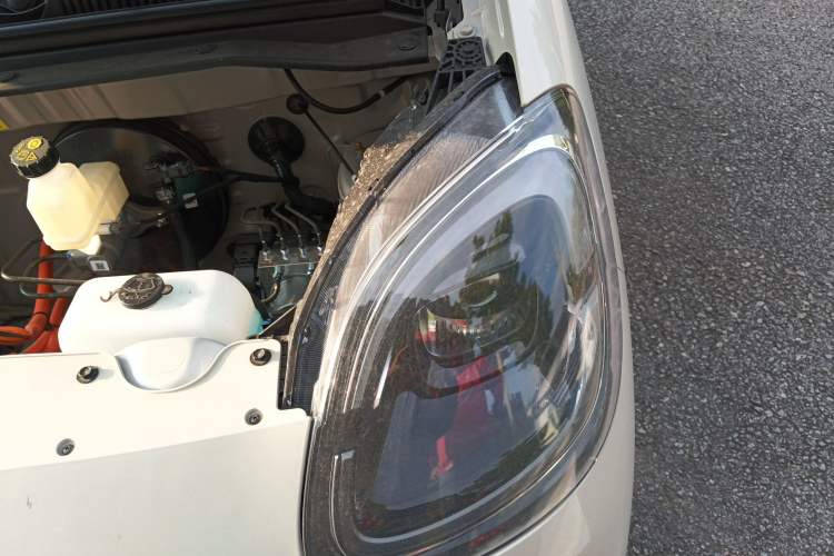 Used Wuling Hongguang MINIEV 2025 Four-Door Version Zhenxiang+ Edition Engine Bay Left