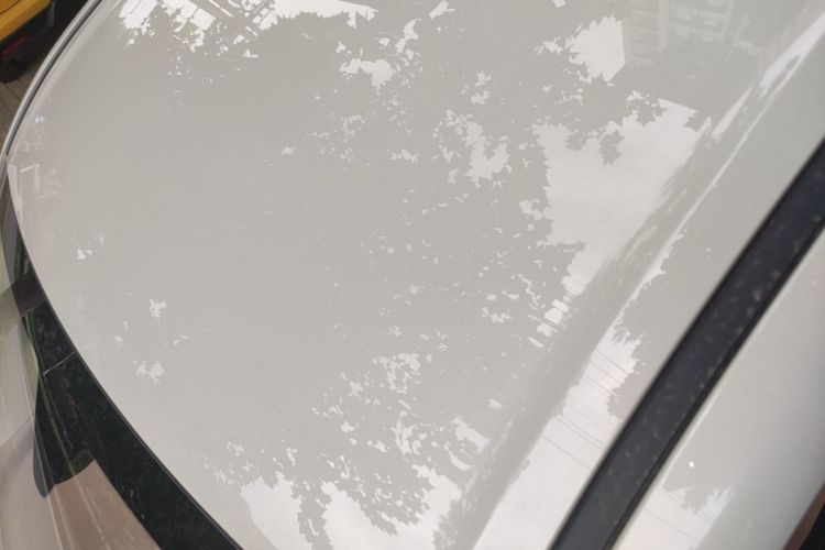 Used Wuling Hongguang MINIEV 2025 Four-Door Version Advanced Edition Roof