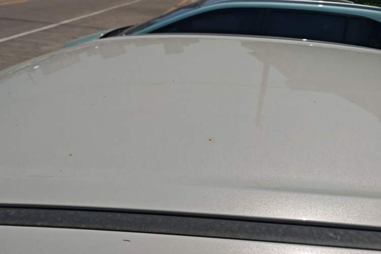 Used Wuling Hongguang MINIEV 2025 Four-Door Version Advanced Edition Roof