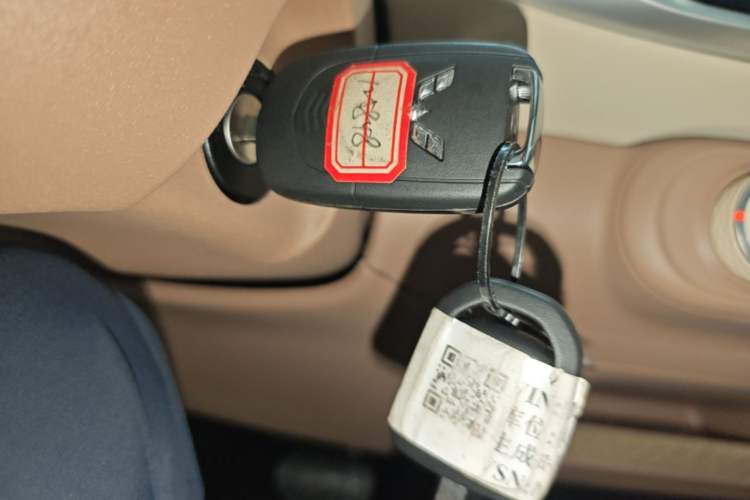Used Wuling Hongguang MINIEV 2025 Four-Door Version Advanced Edition Vehicle Key