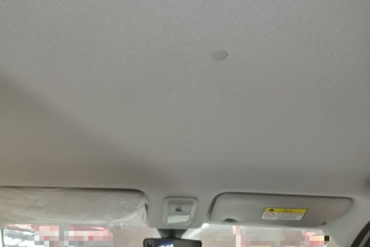 Used Wuling Hongguang MINIEV 2025 Four-Door Version Premium Edition Headliner