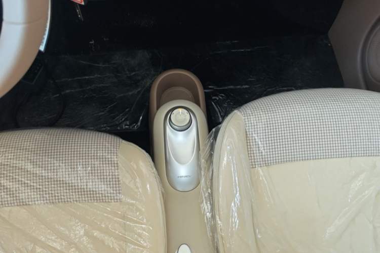 Used Wuling Hongguang MINIEV 2025 Four-Door Version Advanced Edition Gear Lever