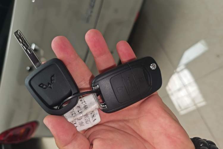 Used Wuling Hongguang MINIEV 2025 Four-Door Version Premium Edition Vehicle Key