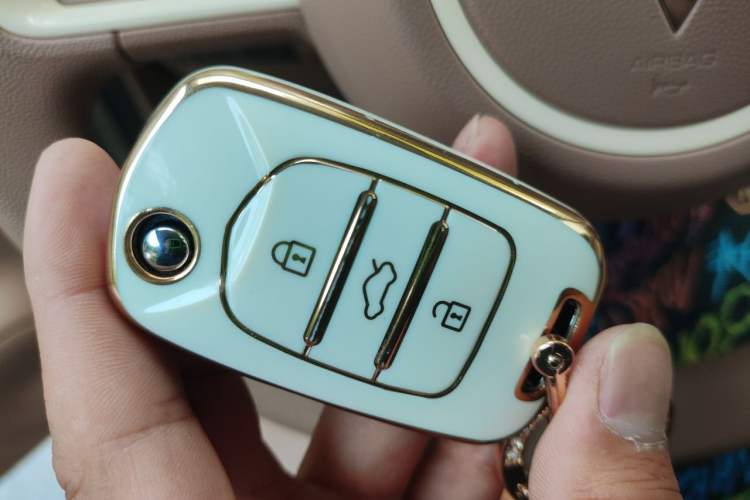 Used Wuling Hongguang MINIEV 2025 Four-Door Version Advanced Edition Vehicle Key