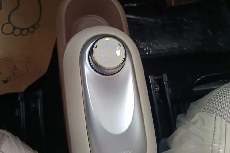 Used Wuling Hongguang MINIEV 2025 Four-Door Version Advanced Edition Gear Lever