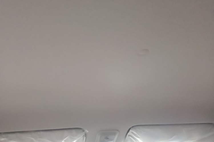 Used Wuling Hongguang MINIEV 2025 Four-Door Version Advanced Edition Headliner