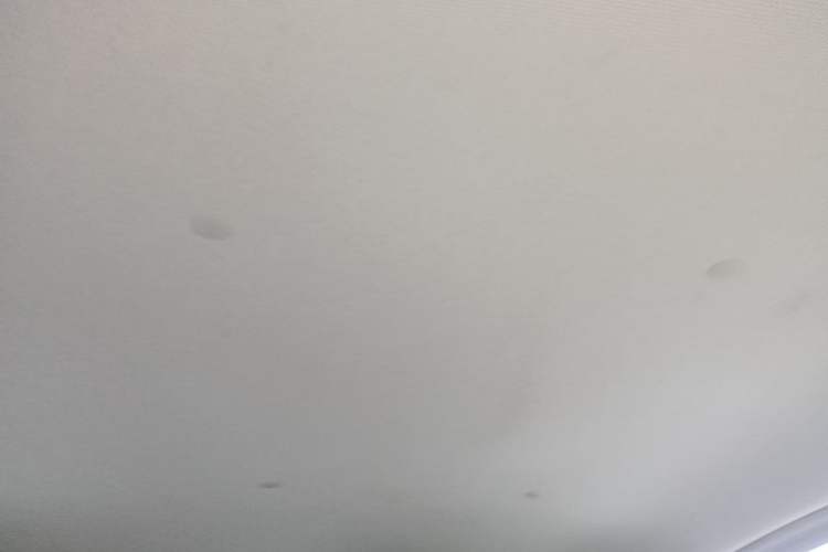 Used Wuling Hongguang MINIEV 2025 Four-Door Version Advanced Edition Headliner