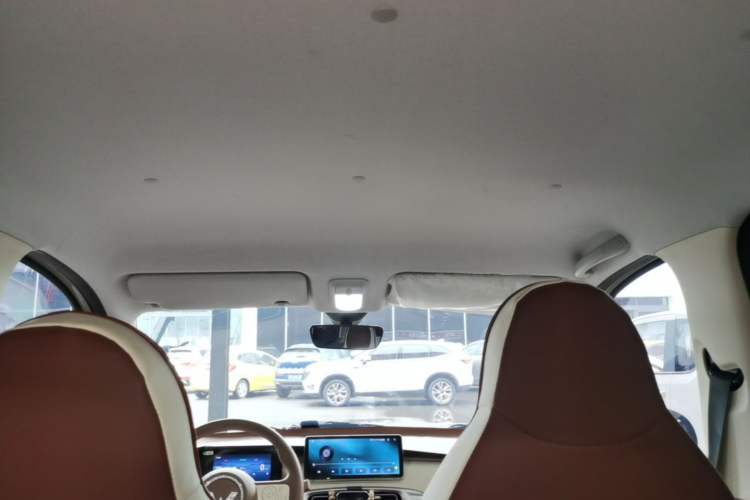 Used Wuling Hongguang MINIEV 2025 Four-Door Version Advanced Edition Headliner