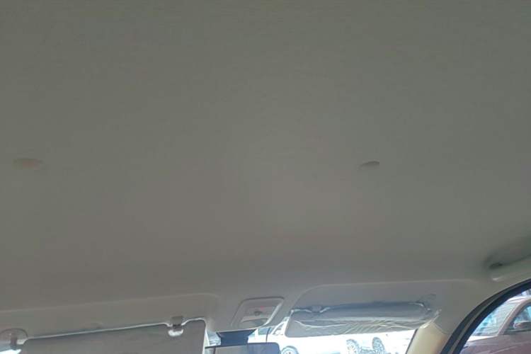 Used Wuling Hongguang MINIEV 2025 Four-Door Version Advanced Edition Headliner
