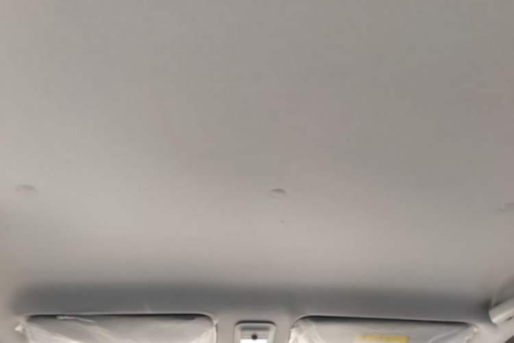 Used Wuling Hongguang MINIEV 2025 Four-Door Version Zhenxiang+ Edition Headliner
