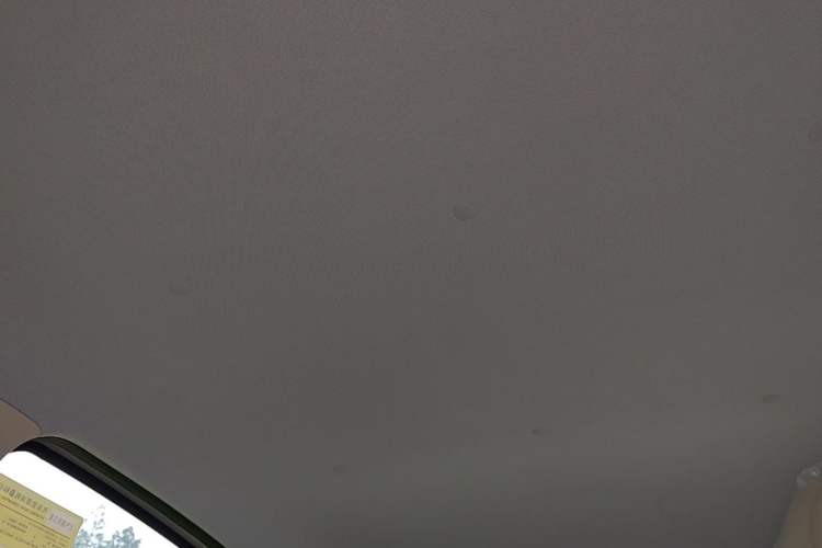 Used Wuling Hongguang MINIEV 2025 Four-Door Version Advanced Edition Headliner