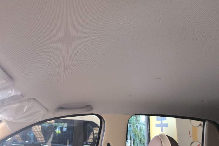 Used Wuling Hongguang MINIEV 2025 Four-Door Version Advanced Edition Headliner