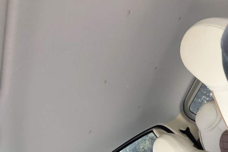 Used Wuling Hongguang MINIEV 2025 Four-Door Version Advanced Edition Headliner