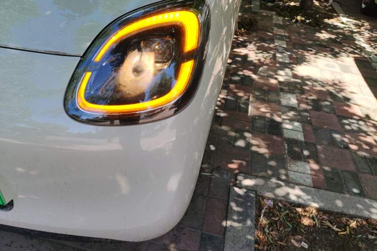 Used Wuling Hongguang MINIEV 2025 Four-Door Version Advanced Edition Left Front Headlight