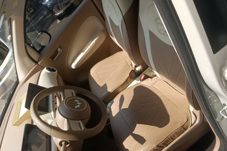 Used Wuling Hongguang MINIEV 2025 Four-Door Version Zhenxiang+ Edition Left Front Seat