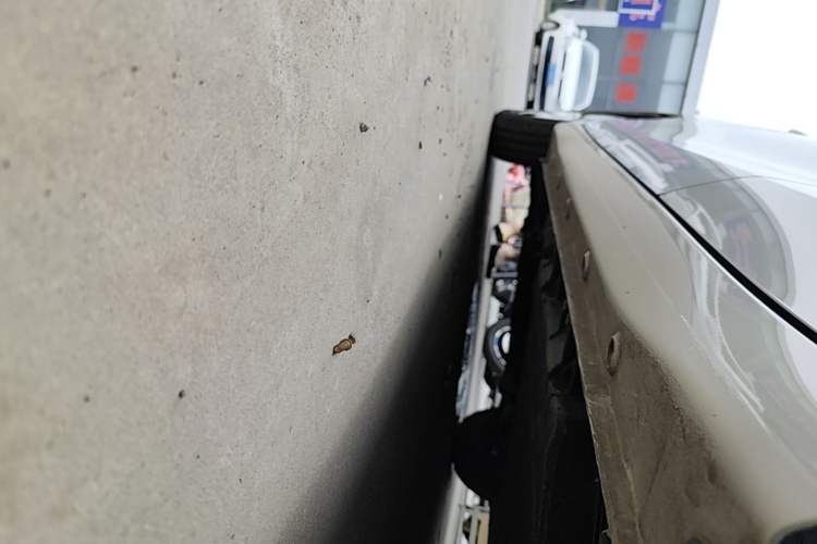 Used Wuling Hongguang MINIEV 2025 Four-Door Version Advanced Edition Left Side Sill