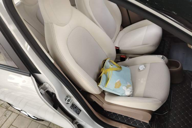 Used Wuling Hongguang MINIEV 2025 Four-Door Version Zhenxiang+ Edition Right Front Seat