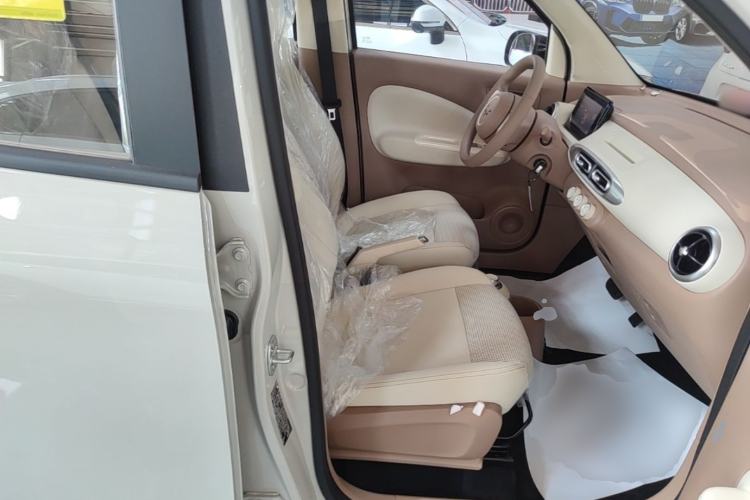 Used Wuling Hongguang MINIEV 2025 Four-Door Version Advanced Edition Right Front Seat